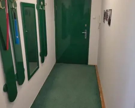 Rent, two bedroom apartment, 54m², Grbavica, Novi Sad Sve Podlokacije - image 10