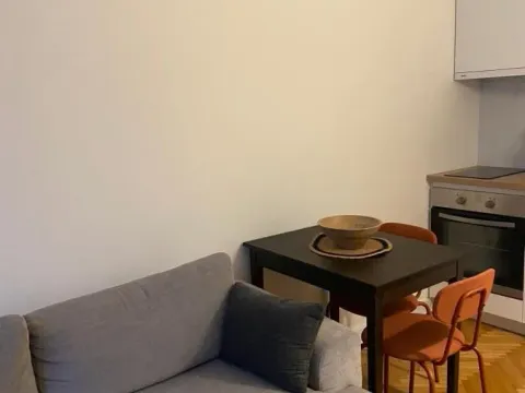 Izdavanje, trosoban stan, 46m², Stari Merkator, Novi Beograd Sve Podlokacije - image 12