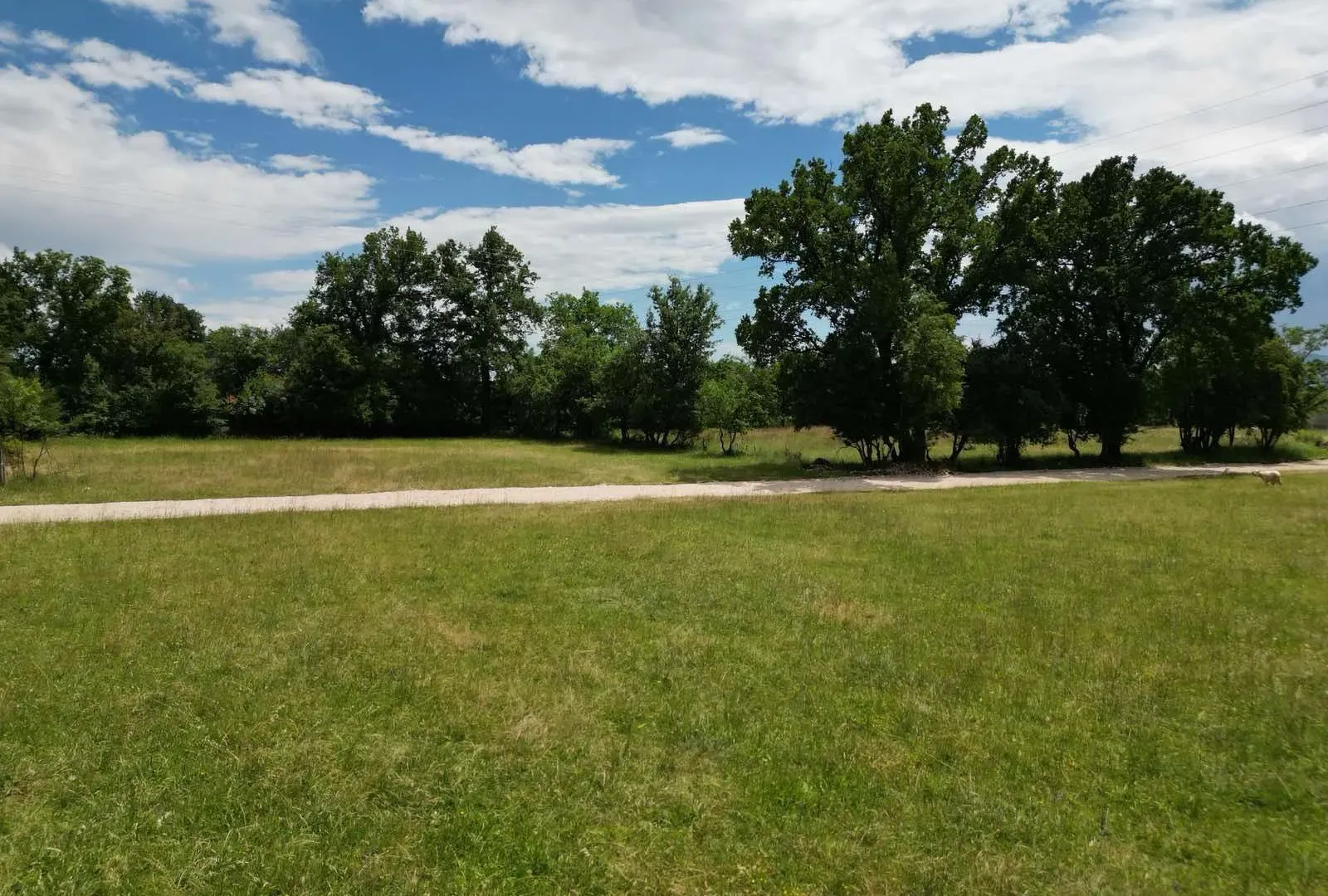 Prodaja, plac, 8000m², Gorica, Danilovgrad