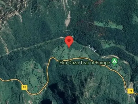 Prodaja, plac, 4000m², Dobrilovina, Mojkovac - image 2
