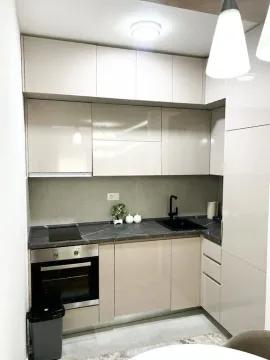 Izdavanje, jednosoban stan, 47m², Central Point, Podgorica - image 9