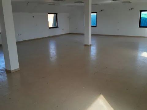 Sale, office space, 860m², Veternik, Novi Sad Sve Podlokacije - image 7