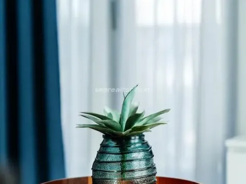 Prodaja, jednosoban stan, 45m², Centar, Tivat - image 17