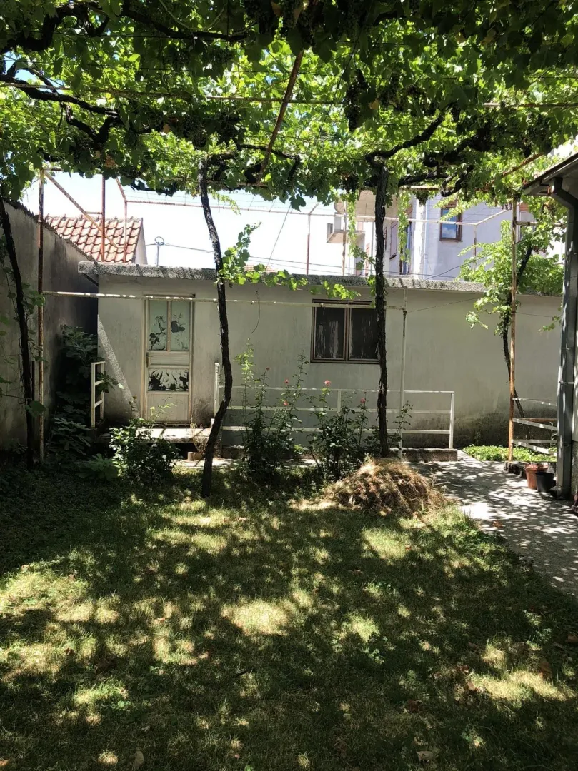 Dvorište sa travnjakom i vinovom lozom.