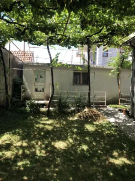 Dvorište sa travnjakom i vinovom lozom. - image 5