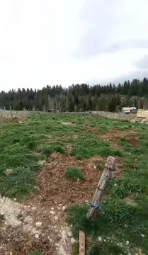 Pogled na prostrano zemljište sa ogradom i šumom u pozadini. - image 6