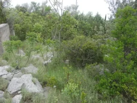 Prodaja, plac, 598m², Luštica, Herceg Novi - image 11