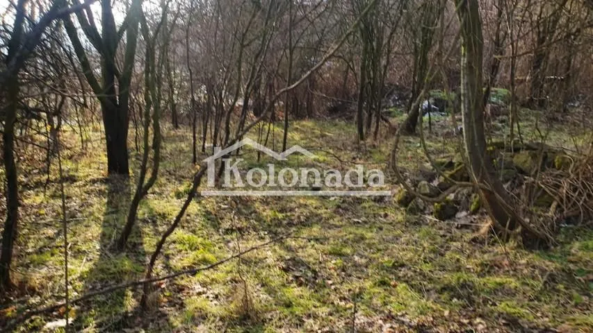 Prodaja, plac, 2500m², Sopot, Beograd
