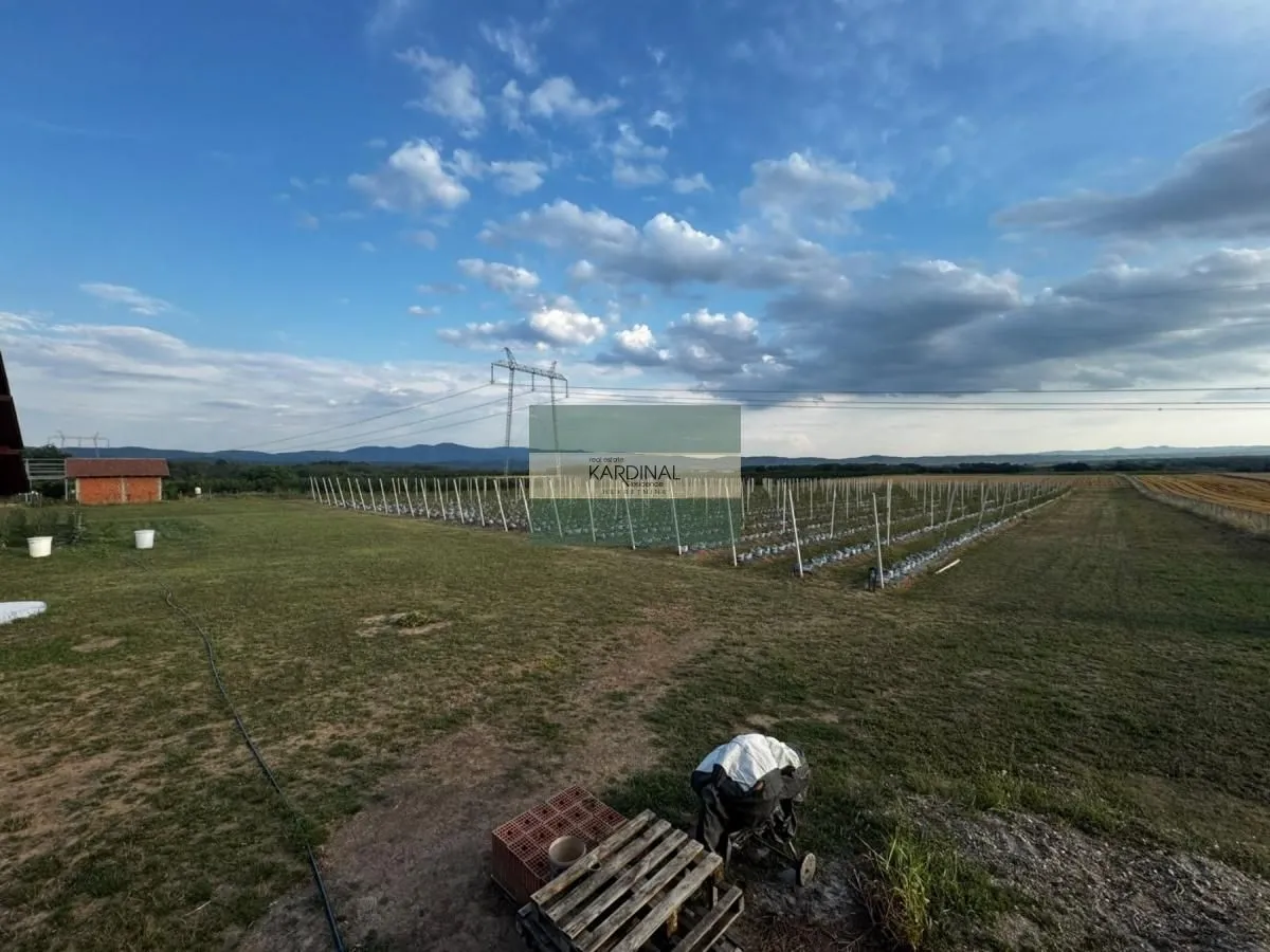 Prodaja, plac, 285100m², Medjureč, Jagodina