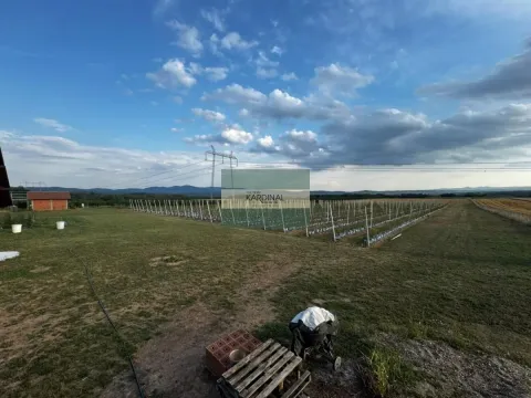 Prodaja, plac, 285100m², Medjureč, Jagodina - image 17