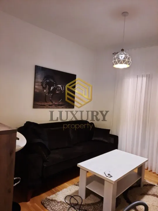 Rent, one bedroom apartment, 43m², Zabjelo, Podgorica