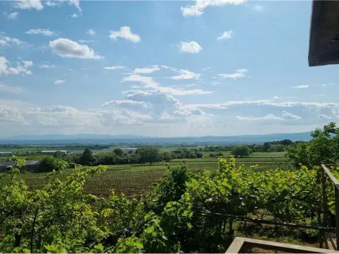 Prodaja, kuća, 345m², Niš, Srbija - image 21