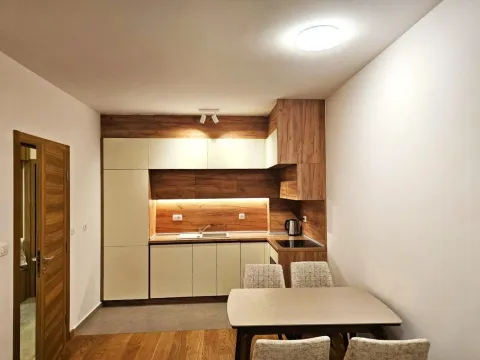 Rent, apartment, 43m², New City, Podgorica - image 2
