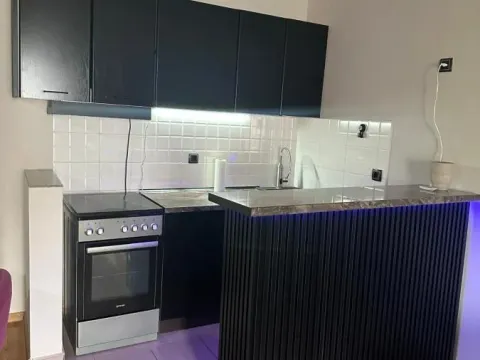 Rent, two bedroom apartment, 48m², Bulevar Oslobodjenja, Novi Sad Sve Podlokacije - image 9