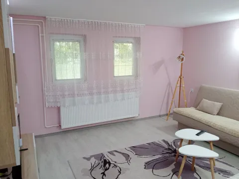 Izdavanje, dvosoban stan, 36m², Sajmište, Novi Sad - image 3