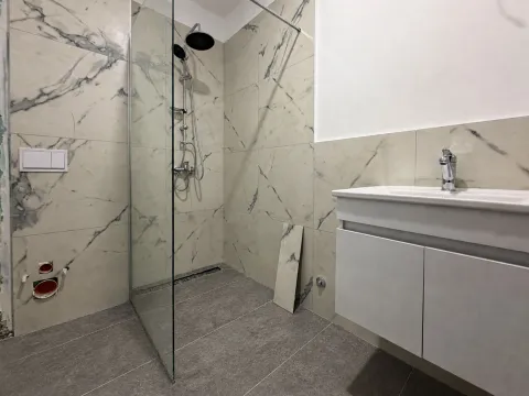 Modernly equipped bathroom with a walk-in shower and washbasin. - image 12