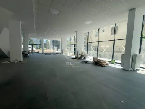 Izdavanje, poslovni prostor, 350m², Adamovićevo Naselje, Novi Sad Sve Podlokacije - image 3