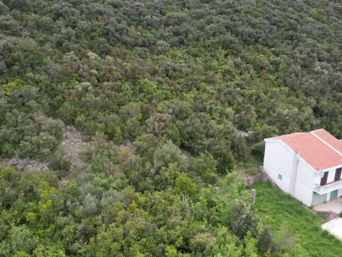 Prodaja, plac, 3585m², Krimovica, Kotor - image 24