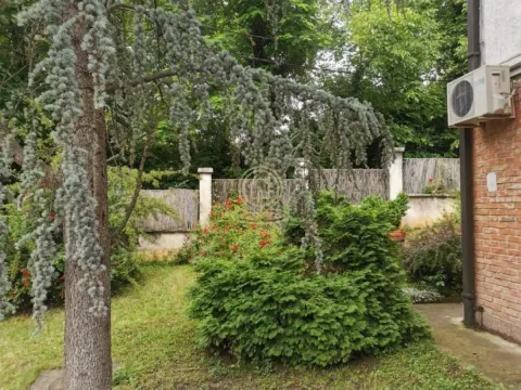 Green yard with trees, bushes and a part of the house facade. - image 16