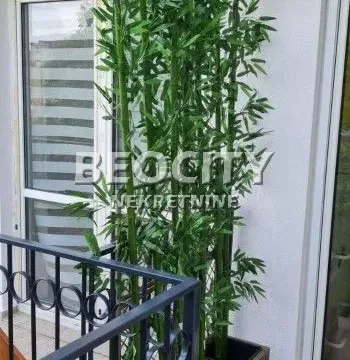 Izdavanje, dvosoban stan, 50m², Centar, Novi Sad - image 8