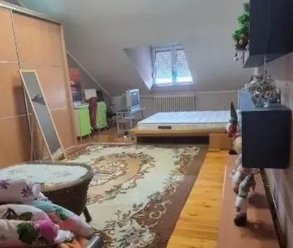 Sale, house, 250m², Voždovac Sve Podlokacije, Beograd - image 13