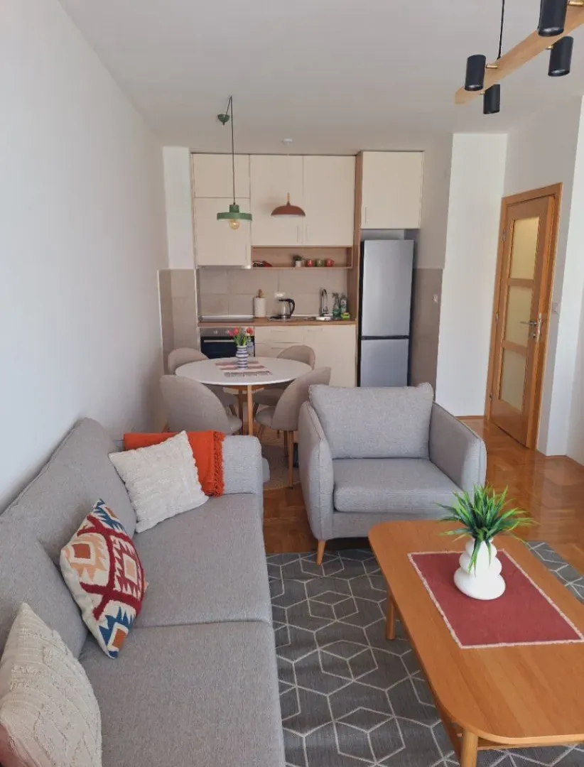 Izdavanje, jednosoban stan, 45m², Stari Aerodrom, Podgorica