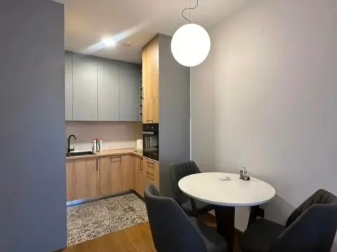 Rent, one bedroom apartment, 48m², Ljubović, Podgorica - image 4