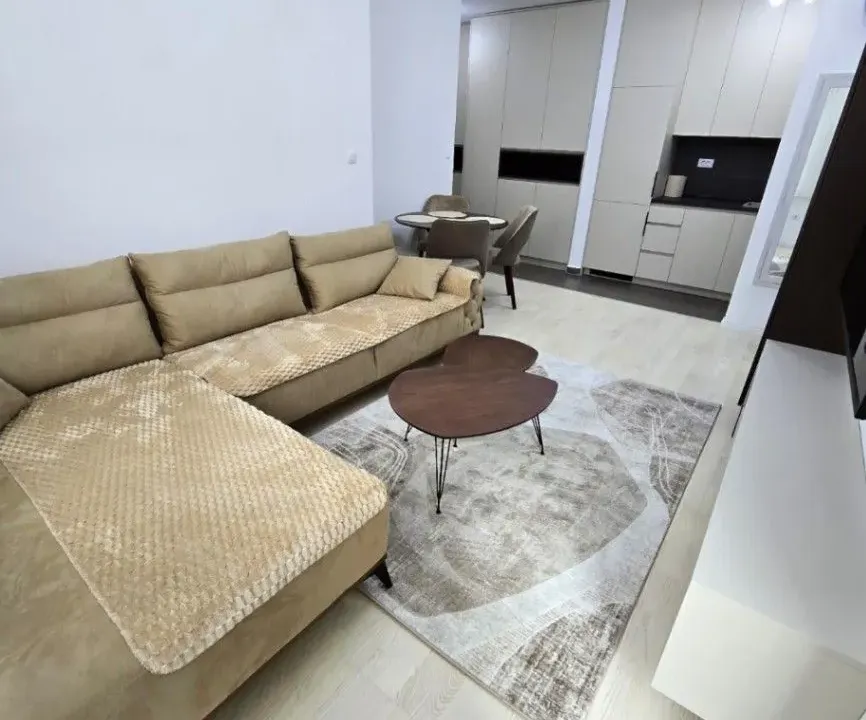 Izdavanje, jednosoban stan, 40m², Central Point, Podgorica