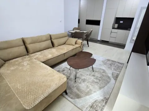 Rent, one bedroom apartment, 40m², Central Point, Podgorica