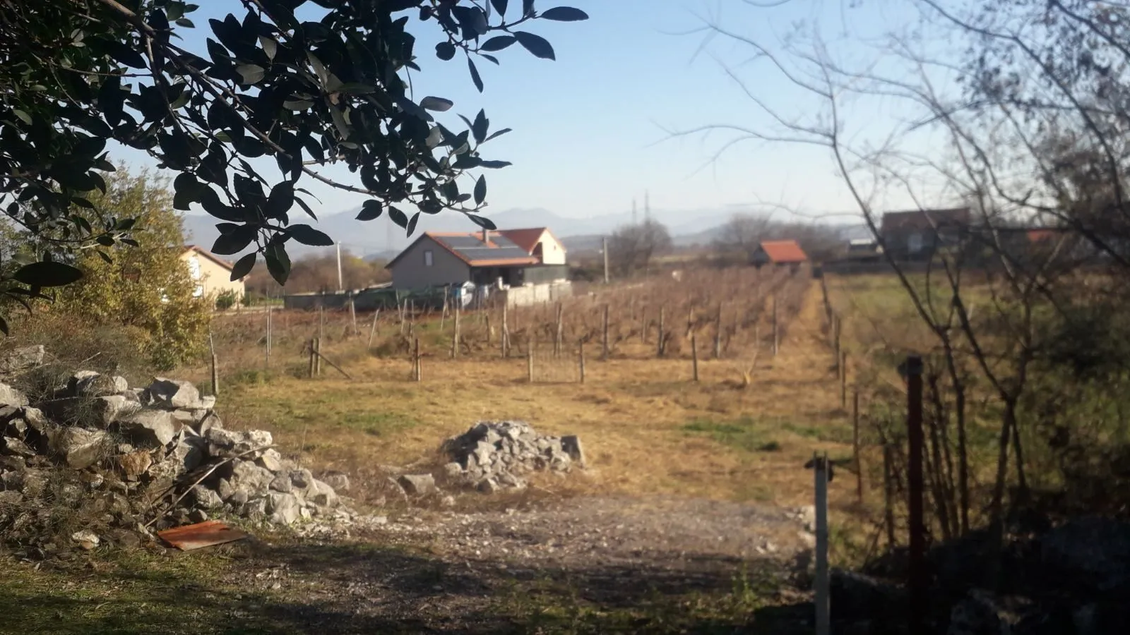 Prodaja, plac, 1546m², Beri, Podgorica