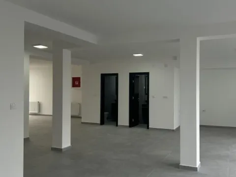 Izdavanje, poslovni prostor, 350m², Telep, Novi Sad Sve Podlokacije - image 6