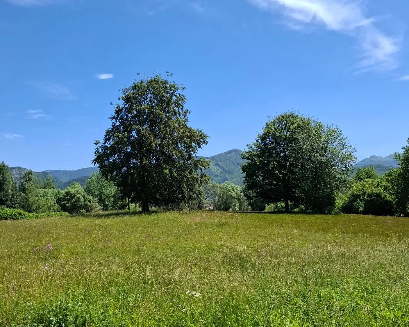 Prodaja, plac, 500m², Kolašin, Crna Gora
