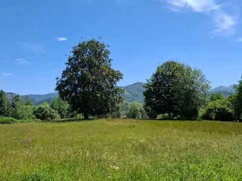 Prodaja, plac, 500m², Kolašin, Crna Gora - image 4