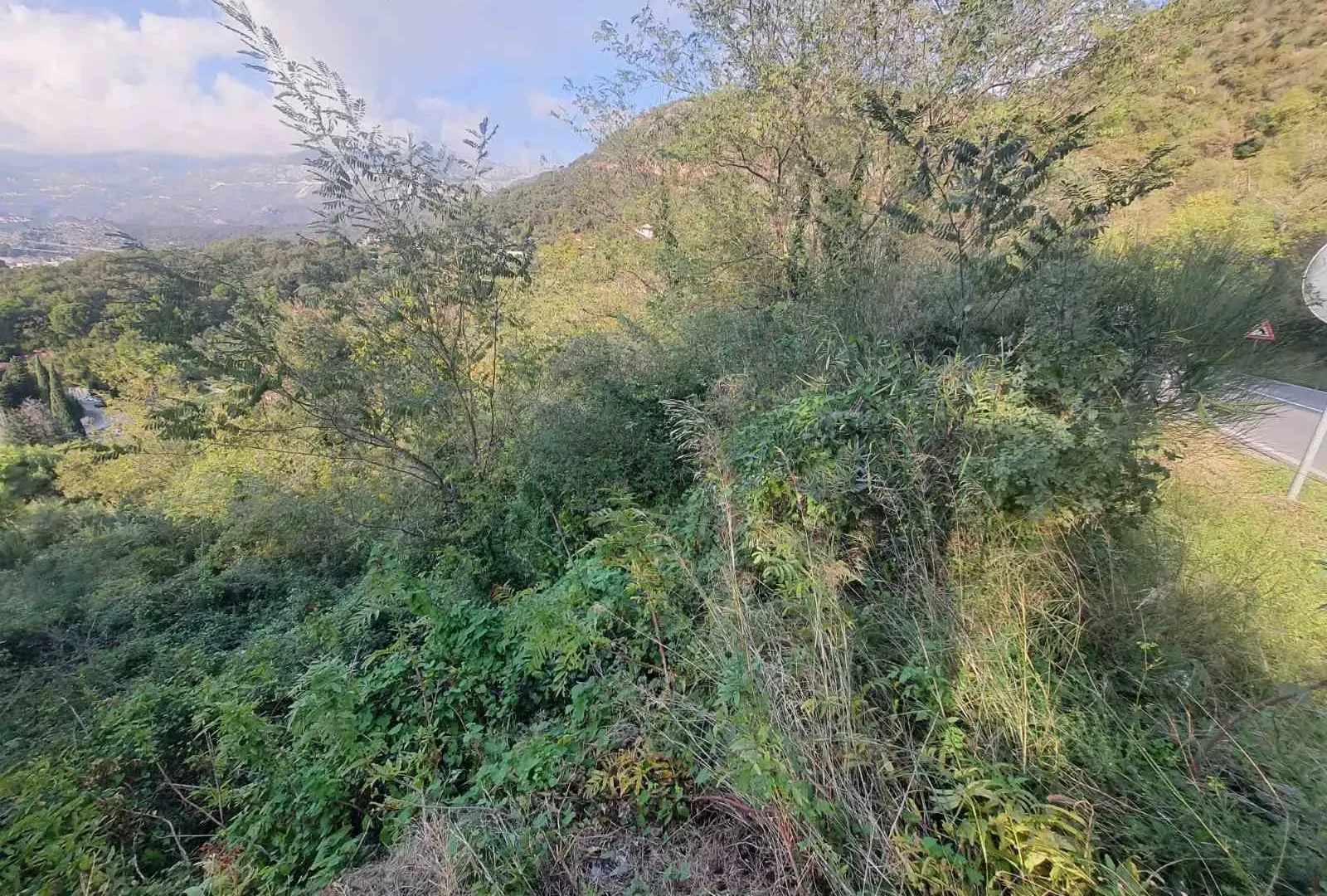 Prodaja, plac, 6286m², Sveti Stefan, Budva