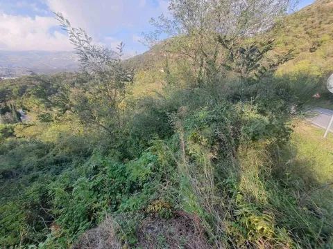 Prodaja, plac, 6286m², Sveti Stefan, Budva - image 3