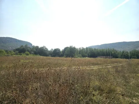 Sale, land lot, 28558m², Velje Brdo, Podgorica - image 4