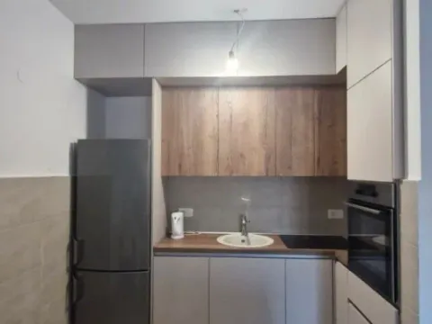 Izdavanje, jednosoban stan, 45m², Pobrežje, Podgorica - image 3