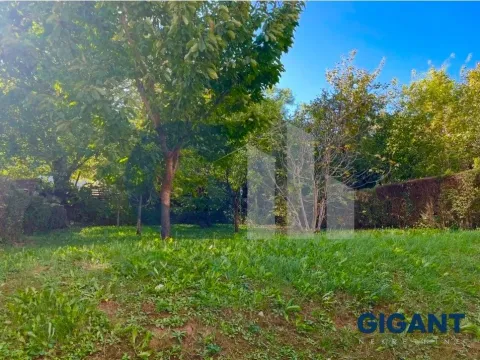 Sale, house, 320m², Voždovac Sve Podlokacije, Beograd