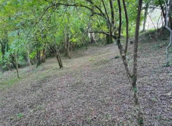 Prodaja, plac, 8500m², Frutak, Danilovgrad