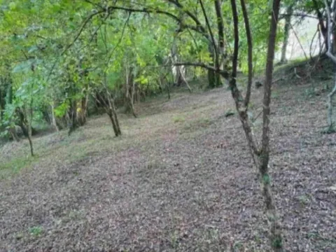 Sale, land lot, 8500m², Frutak, Danilovgrad - image 2