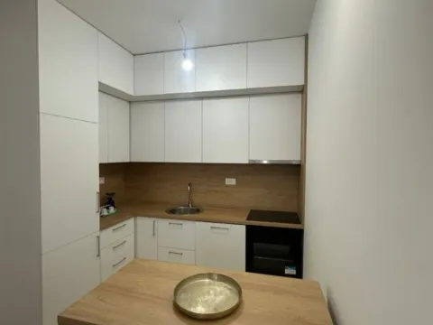 Izdavanje, jednosoban stan, 48m², Zabjelo, Podgorica - image 4