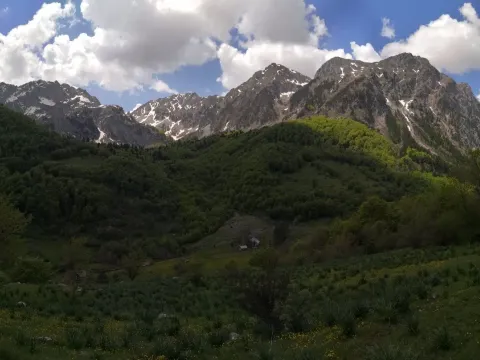 Prodaja, plac, 32013m², Gornje Lipovo, Kolašin - image 3