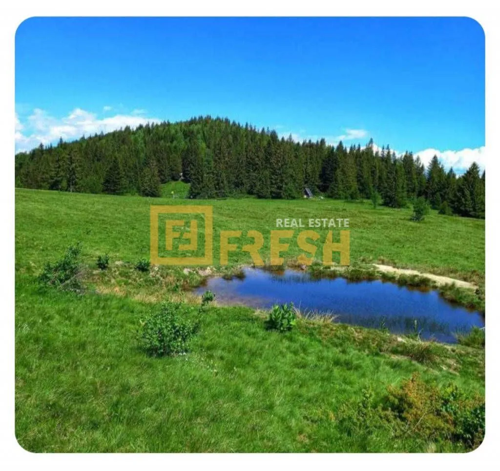 Prodaja, plac, 6000m², Berane, Crna Gora