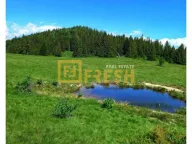 Prodaja, plac, 6000m², Berane, Crna Gora - image 11