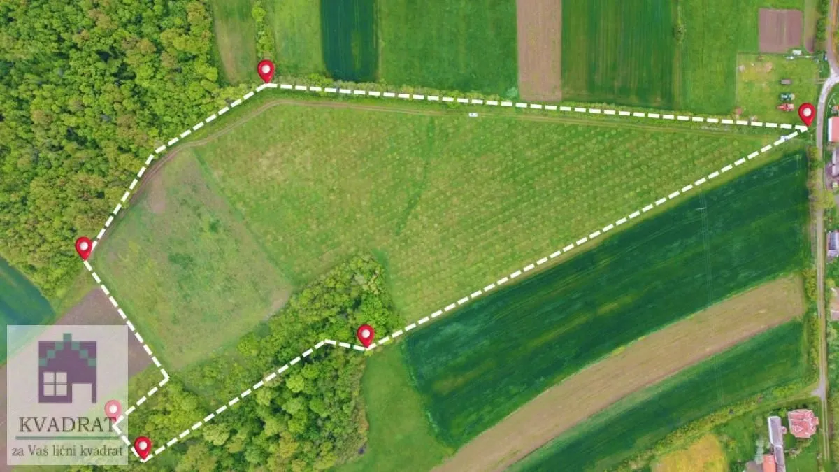 Prodaja, plac, 38000m², Kožuar, Ub