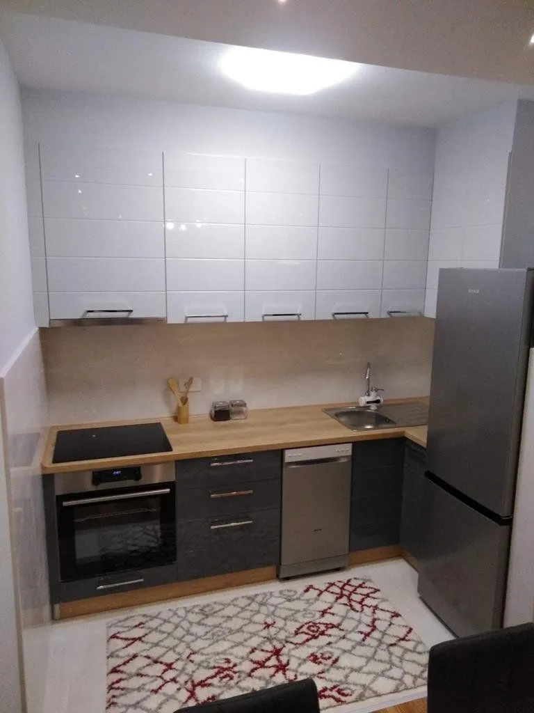 Izdavanje, jednosoban stan, 49m², Central Point, Podgorica