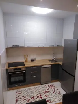 Izdavanje, jednosoban stan, 49m², Central Point, Podgorica - image 5