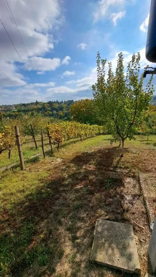 Prodaja, plac, 3000m², Sremska Kamenica, Petrovaradin