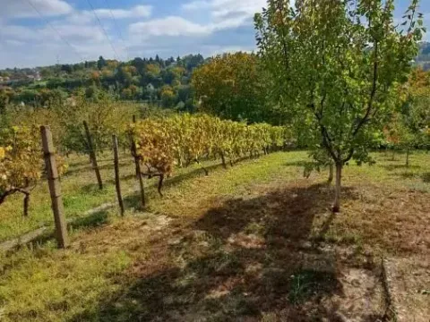 Prodaja, plac, 3000m², Sremska Kamenica, Petrovaradin - image 8