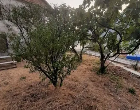 Prodaja, kuća, 156m², Lepetani, Tivat - image 11